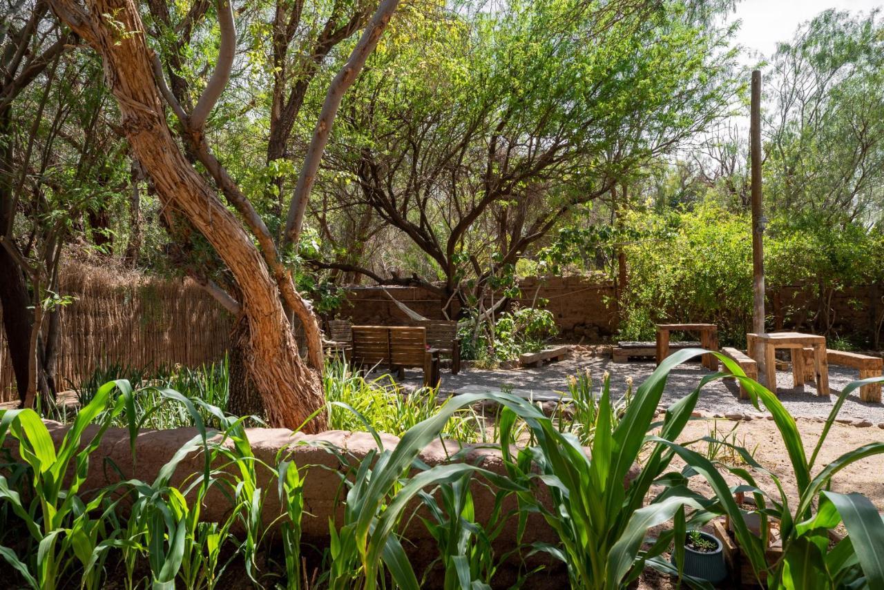 Maison d'hôtes Vientos - La Yareta à San Pedro De Atacama Extérieur photo